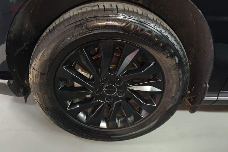 Used FORTHING T5 EVO 2024 Kungbiao Edition 1.5TD DCT Platinum Model