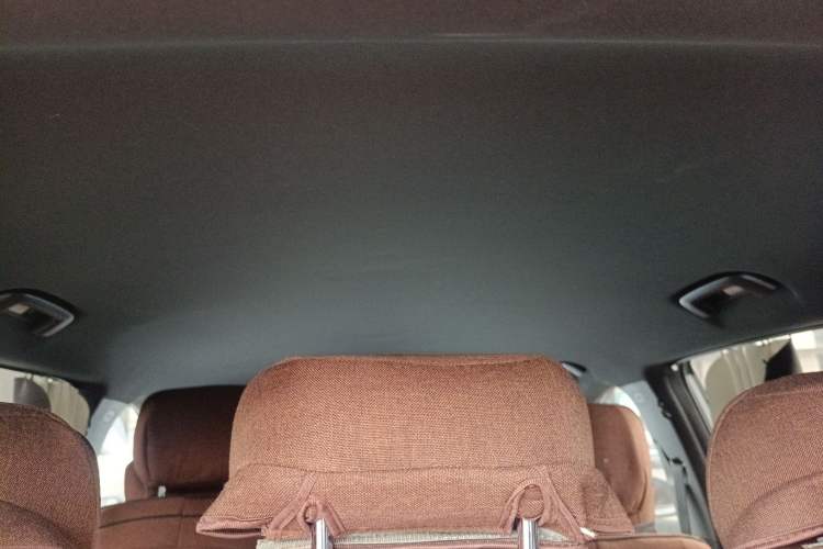 Used Wuling Xingguang S 2024 510km Flagship Edition Headliner