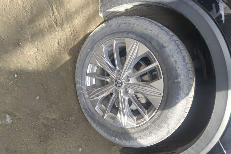 Used Venucia Star 2020 260T Automatic XingShang Edition