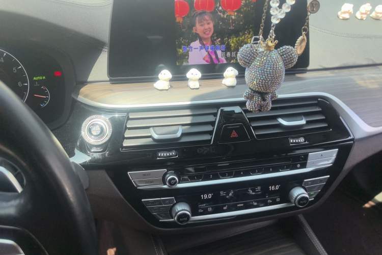 Used BMW 5 Series 2019 530Li Luxury Edition Premium Package
