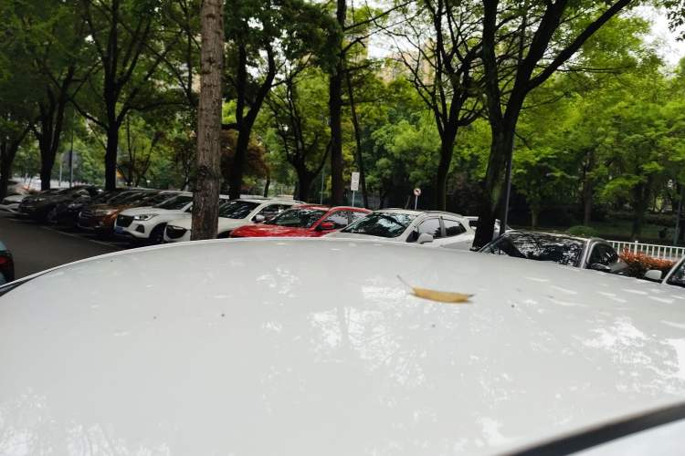 Used Kia K2 2015 Sedan 1.4L MT GLS