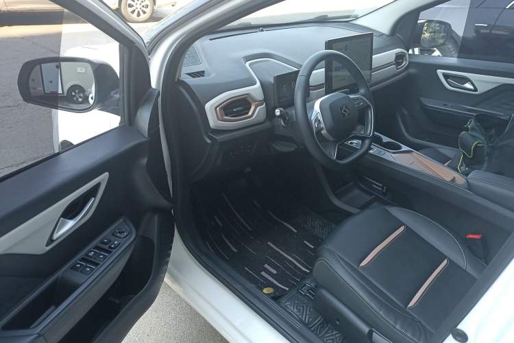 Used SOL E10X 2022 Flower Fairy Style Baby's Breath
