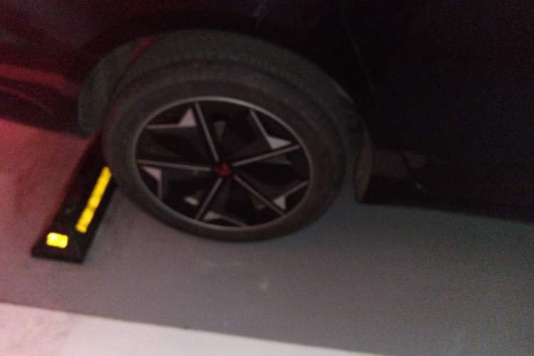 Used Rising ER6 2021 New Dynamic Edition 620km Smart Enjoyment Version