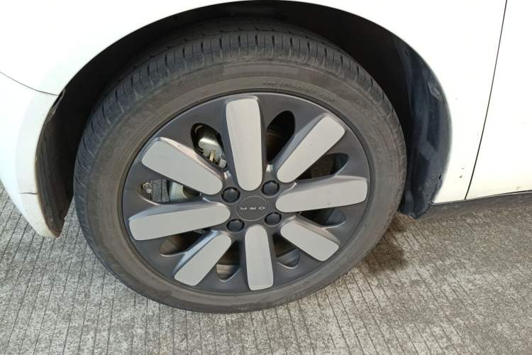 Used ORA Black Cat 2019 351 km Family Edition