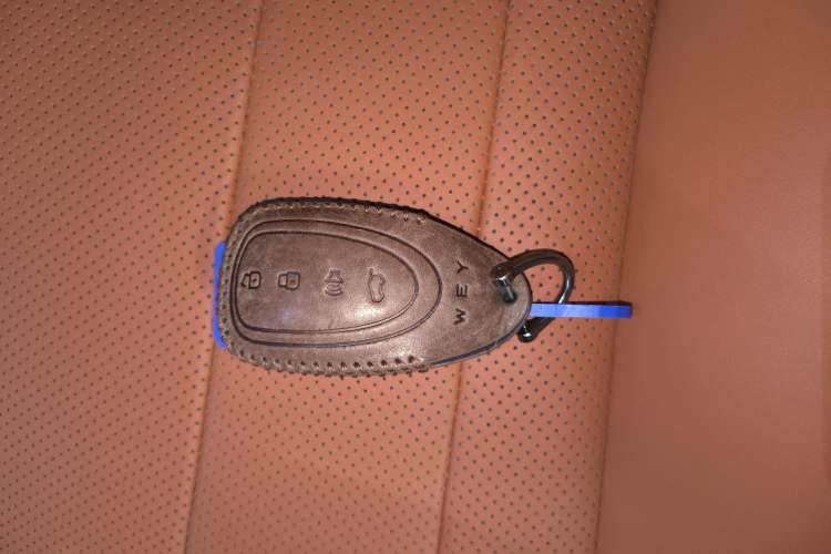 Used Wey Lanshan 2023 Four-Wheel Drive Ultra-Long Range Version
