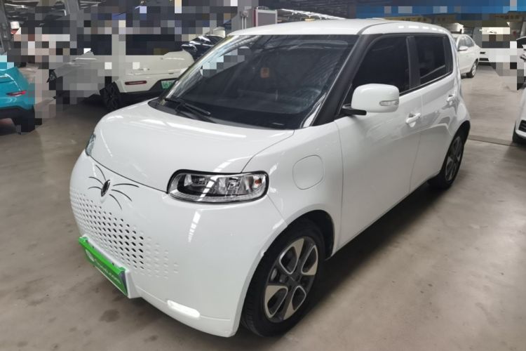 Used ORA White Cat 2020 305 km Luxury Version
