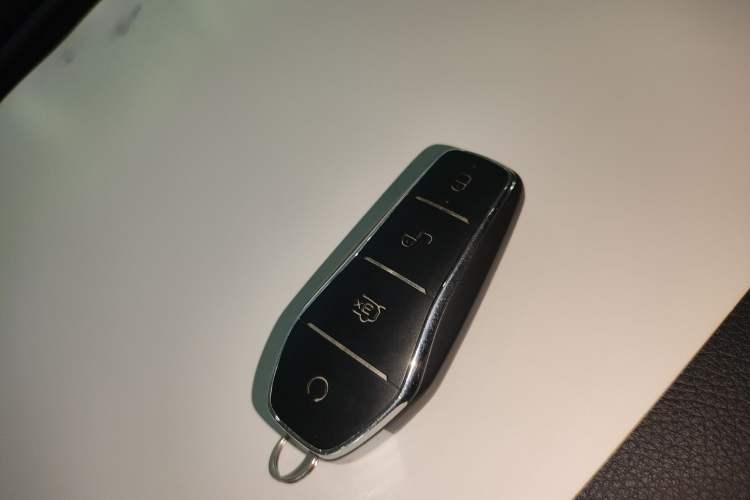 Used BYD Tang New Energy 2023 DM-i Champion Edition 112KM Prestige Model
