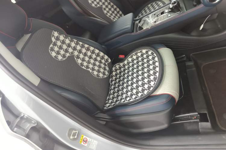 Used BYD Yuan PLUS 2022 510 km Luxury Version
