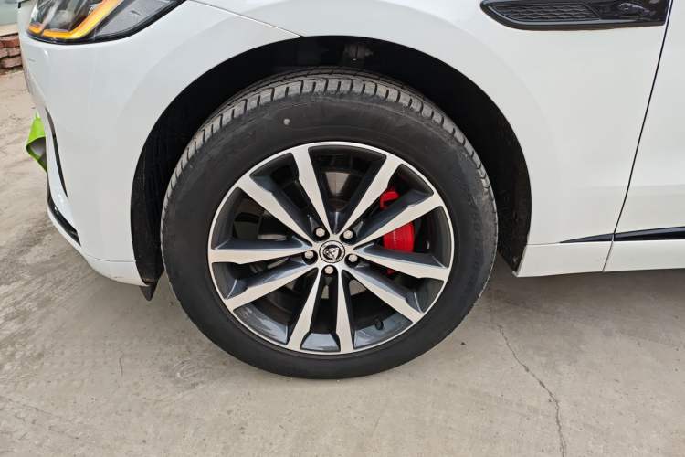 Used Jaguar F-PACE 2024 P250 R-Dynamic SE
