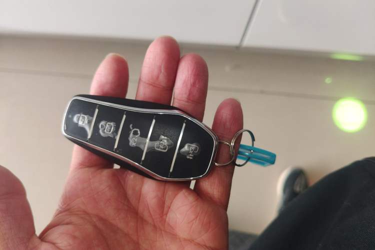 Used BYD Xia 2025 DM-i 1.5T 180km Beyond Edition
