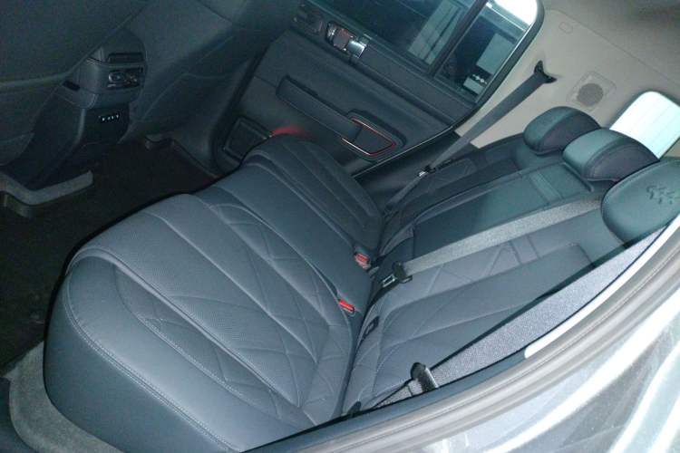 Used Formula Leopard 5 2025 TianShen Intelligent Driving Ultra Edition Left Rear Seat