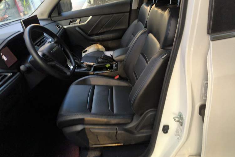 Used Venucia T60EV 2020 AI Enjoyment Model