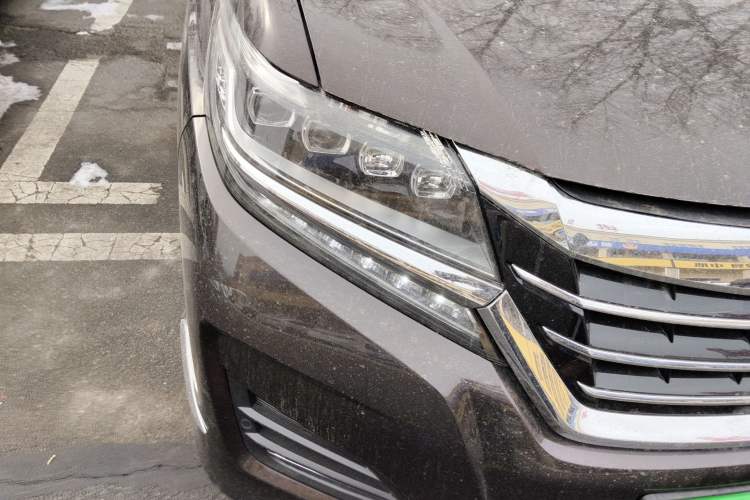 Used Honda Elysion 2016 2.4L Supreme Edition
