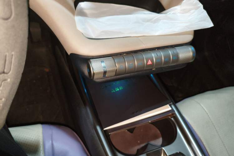 Used BYD Dolphin 2023 420 km Free Version Gear Lever