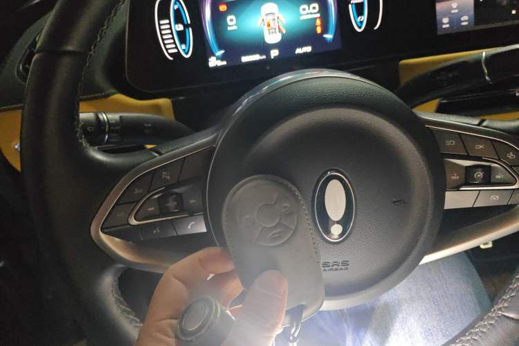 Used ORA Good Cat GT 2023 Mulan Edition 401km Prestige Version
