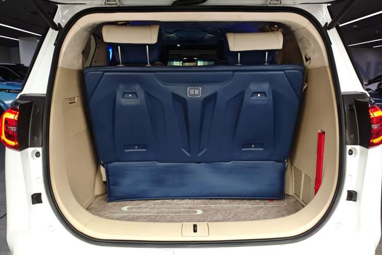 Used Buick GL8 2022 ES Landtrek 653T Luxury Edition