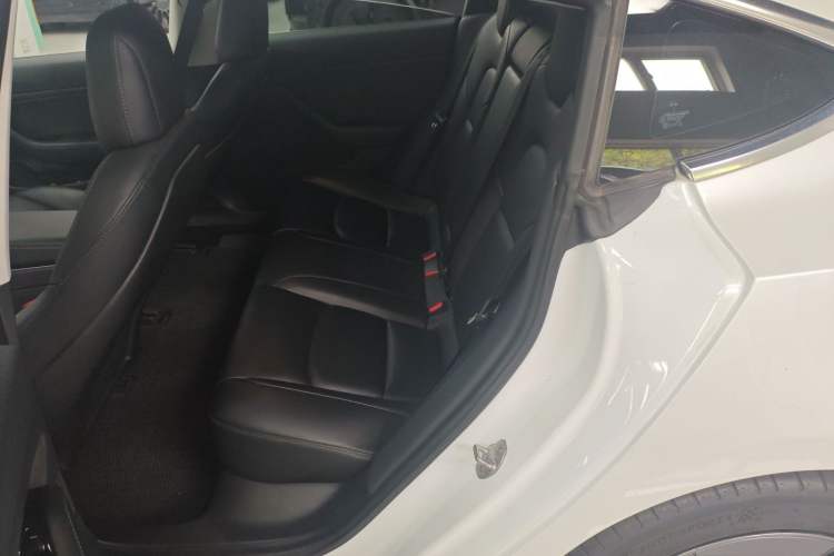 Used Tesla Model 3 2019 Long-Range All-Wheel-Drive Version Left Rear Seat