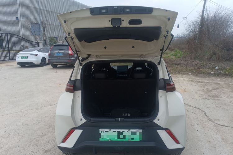 Used BYD Seagull 2024 Honor Edition 305km Freedom Version
