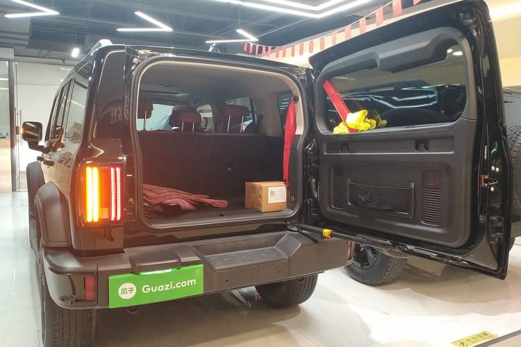 Used Tank 300 2024 2.0T Conqueror
