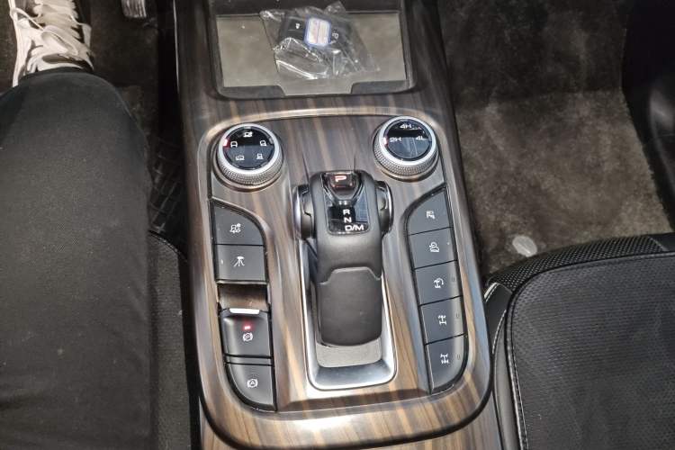 Used Tank 300 2024 2.0T Conqueror
