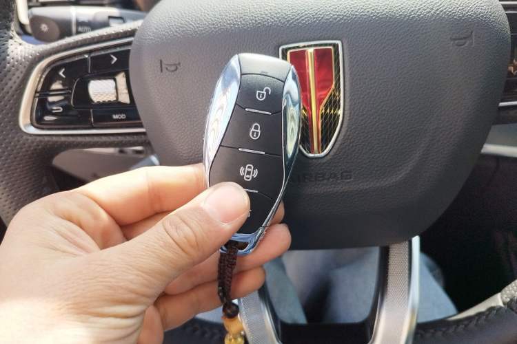 Used Hongqi HS5 2023 2.0T Four-Wheel Drive Flagship Pro Edition