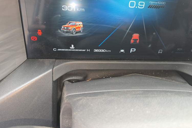 Used Tank 300 2024 2.0T Conqueror