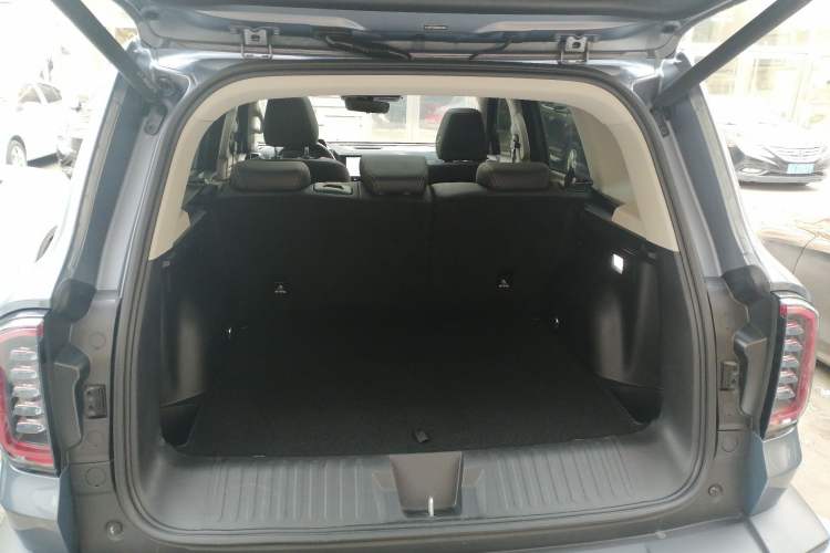 Used Haval DARGO 2024 2.0T DCT Chinese Rural Dog Edition