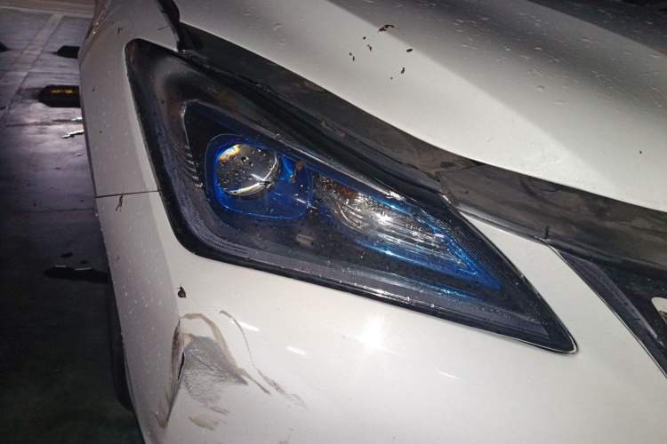 Used CHANGAN Eado New Energy 2019 EV460 Smart Edition
