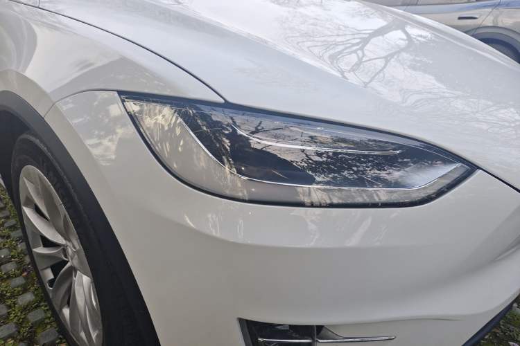 Used Tesla Model X 2017 X 100D Long Range Edition