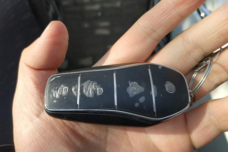 Used BYD Sealion 07 EV 2025 610 Intelligent Driving Edition Interior 1