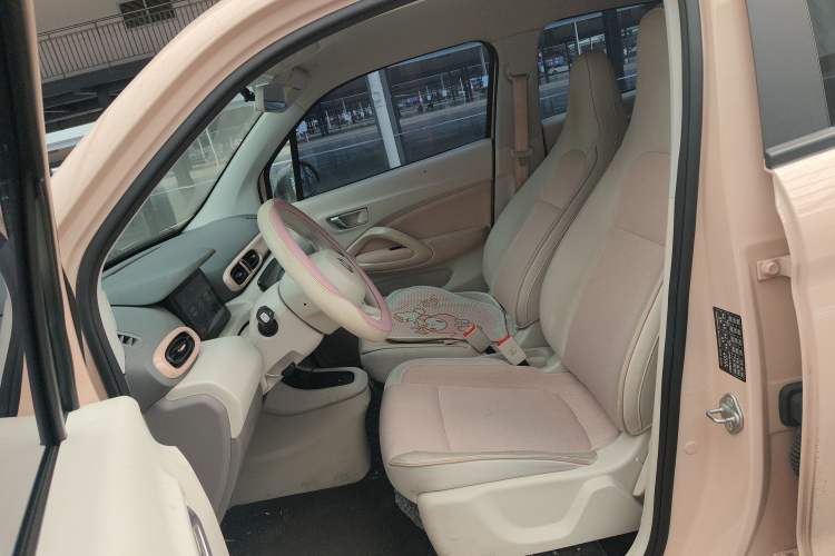 Used Leapmotor T03 2023 310 Lite Edition Left Front Seat