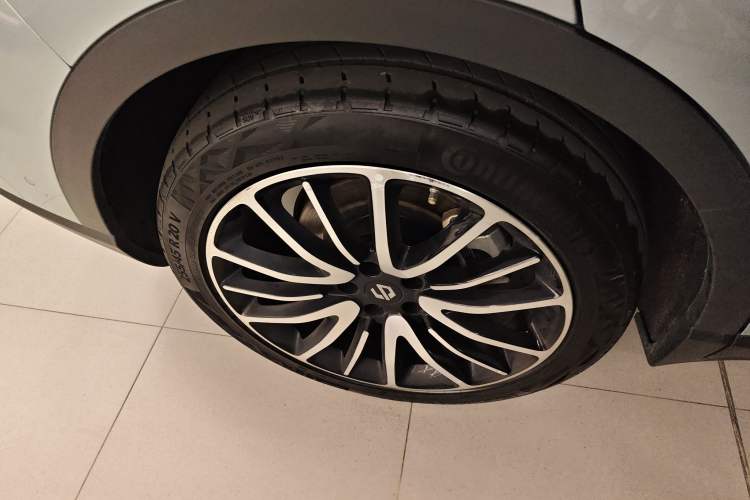 Used Leapmotor C11 2021 Performance Edition