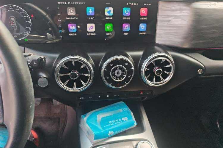 Used Tank 300 2024 2.0T Conqueror