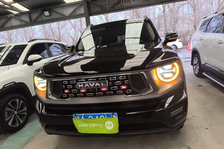 Used Haval H Dog 2023 2.0T Two-Wheel Drive Chaoye Version Plus Front