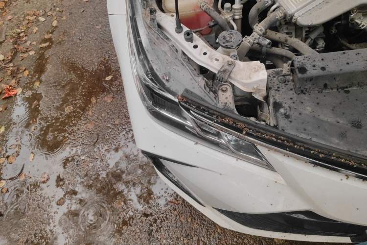 Used Toyota Corolla 2021 1.2T S-CVT Pioneer Edition
