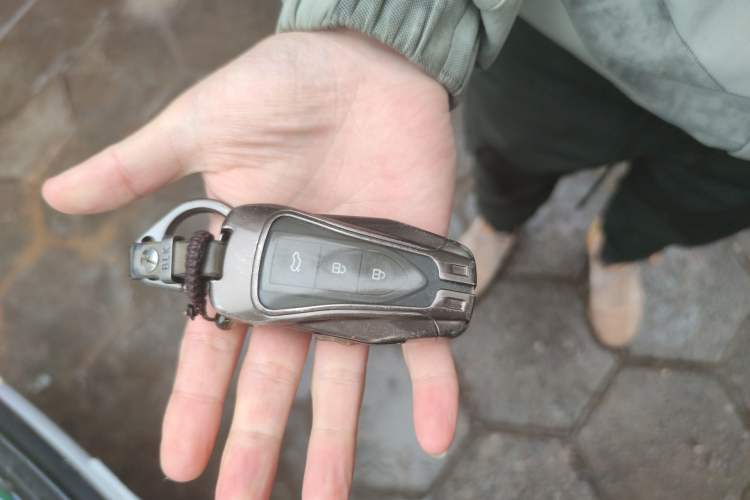 Used Leopaard CS9 2017 1.5L Manual Fashion Model Vehicle Key