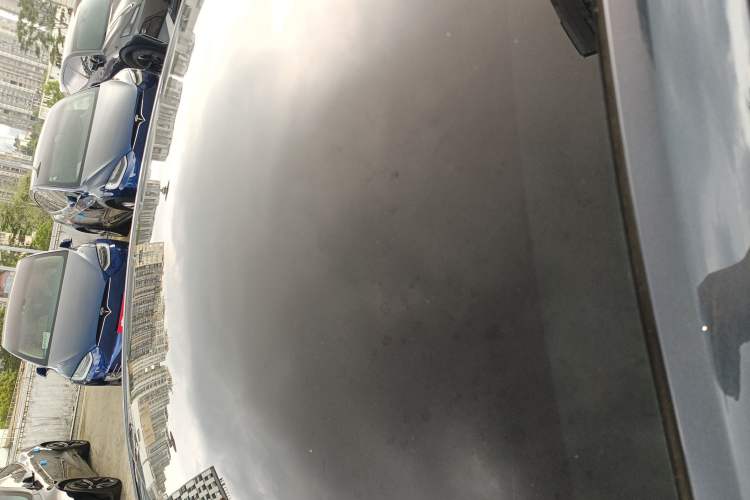 Used Tesla Model Y 2022 Revised Version Long-Range All-Wheel Drive Roof