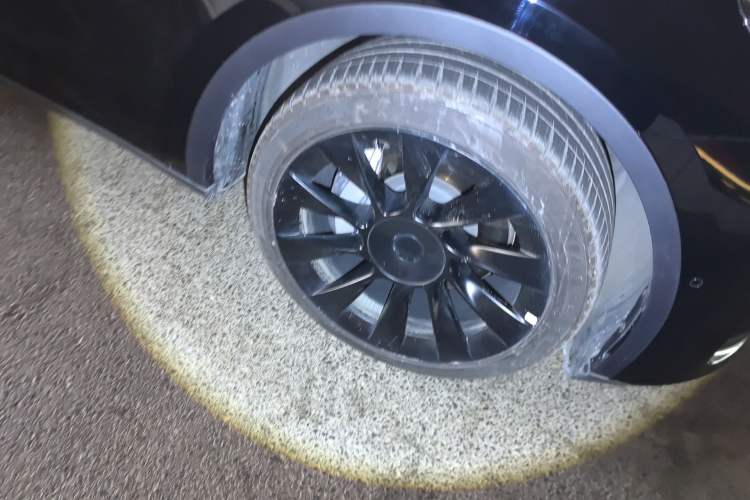 Used Tesla Model Y 2022 Revised Version Rear-Wheel Drive
