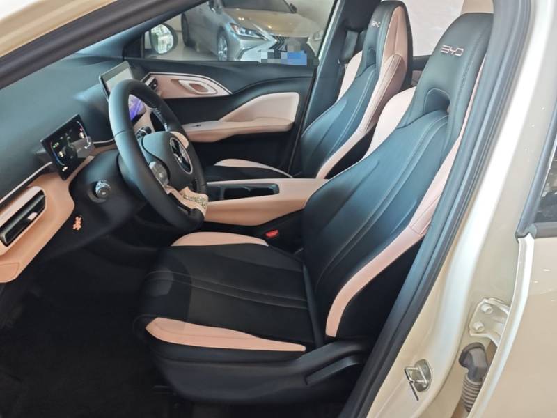 Used BYD Seagull 2023 Free Edition — 14