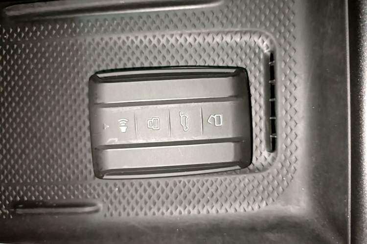 Used Tank 300 New Energy 2025 Hi4-T