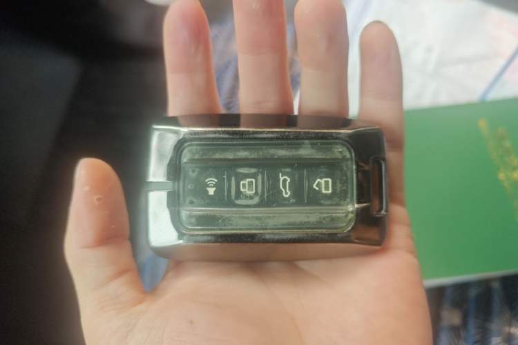 Used Tank 300 2021 Off-Road Edition 2.0T Conqueror