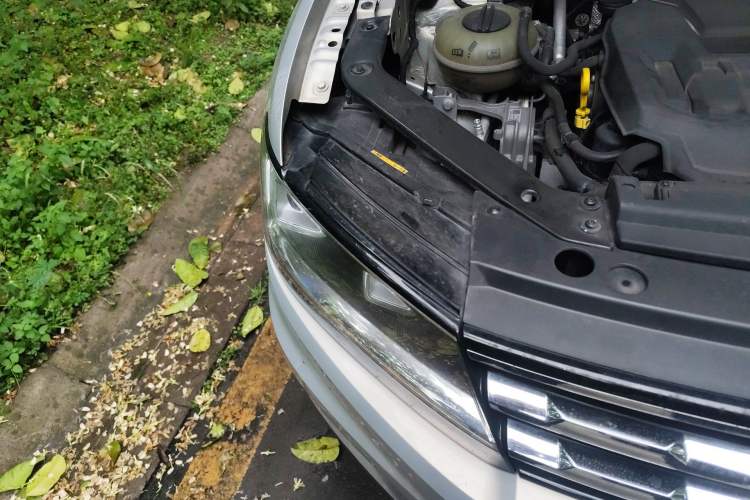 Used Volkswagen Tiguan L 2018 330TSI Automatic Two-Wheel Drive Luxury Edition Exterior 6