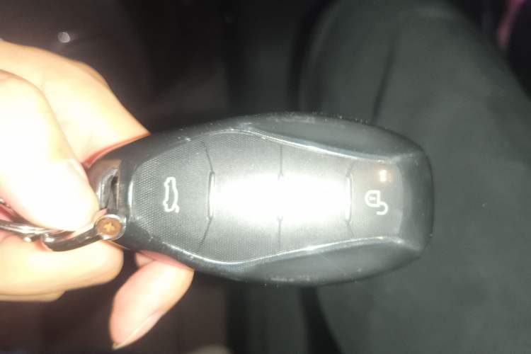 Used Hongqi HS3 2023 1.5T Two-Wheel Drive Shanwei Edition
