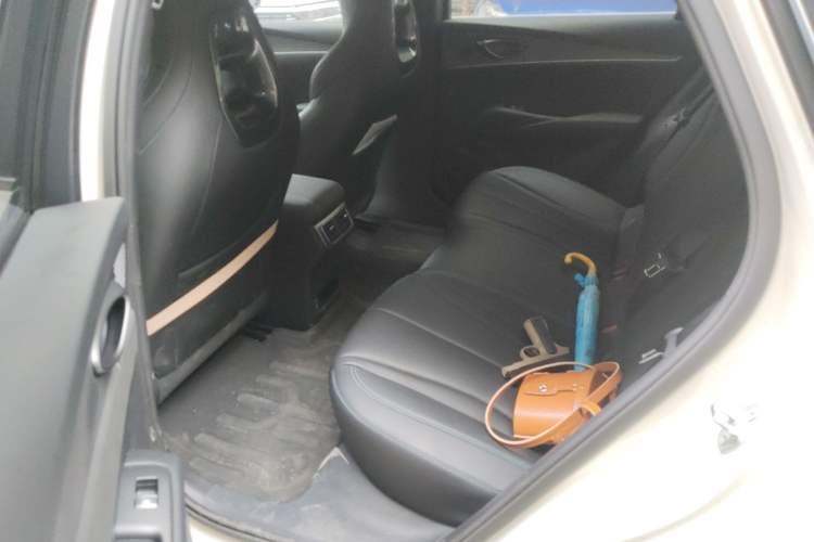 Used BYD Seal 06 New Energy 2025 DM-i Smart Drive 120KM Prestige Model Left Rear Seat