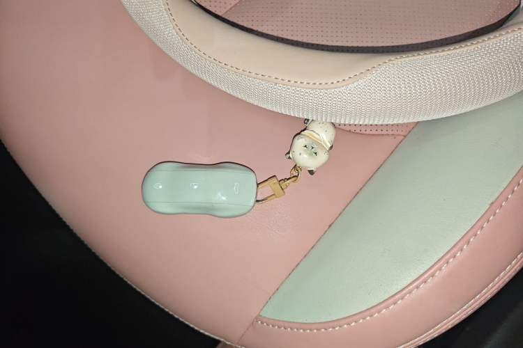 Used NETA V 2021 Witch Edition Interior 1