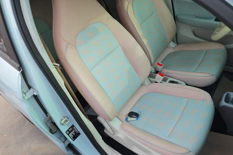 Used Leapmotor T03 2024 310 Comfort Edition Right Front Seat