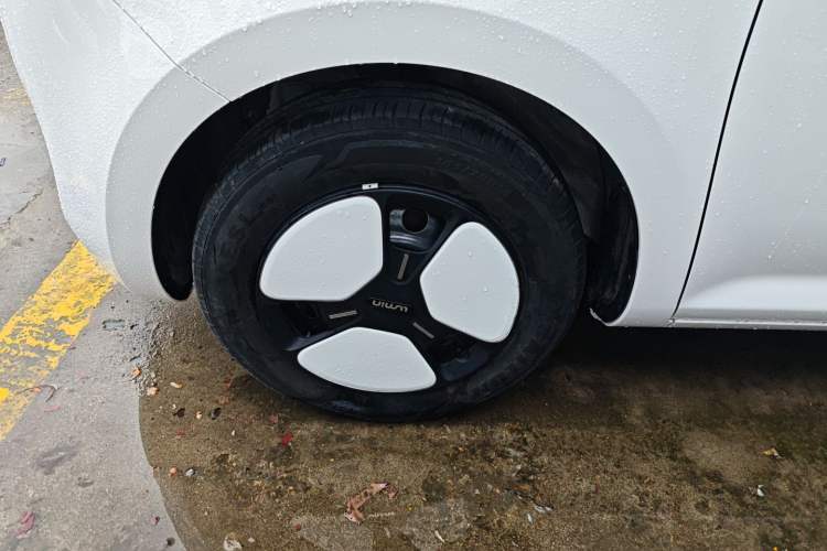 Used Qiyuan Lumin 2023 205km Xiangqin Version