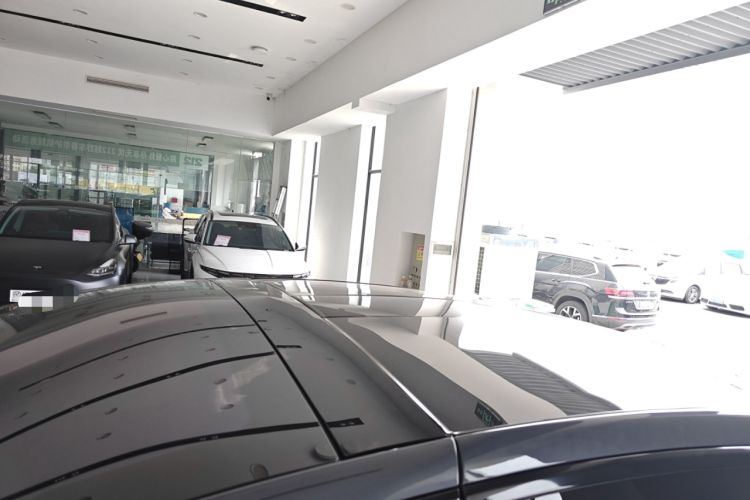 Used Tesla Model X 2020 Performance High-Performance Edition Roof