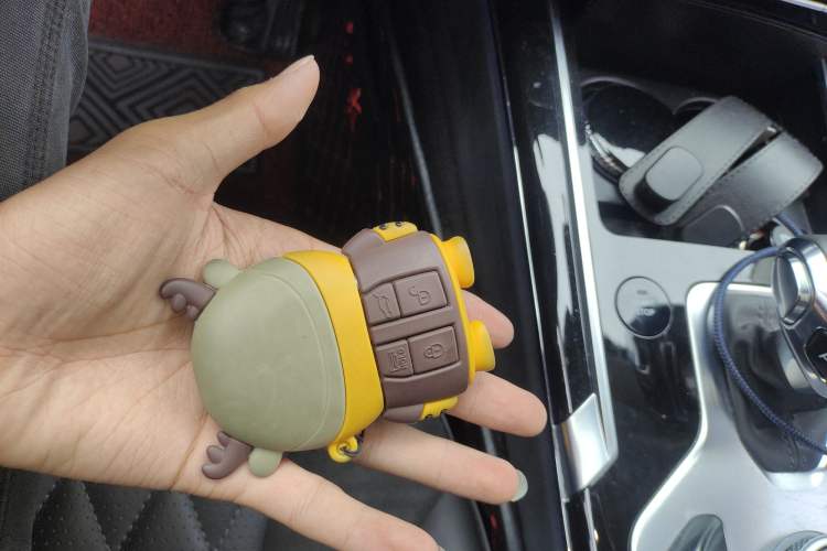 Used Hongqi HS5 2019 2.0T Smart Connect Flagship Edition