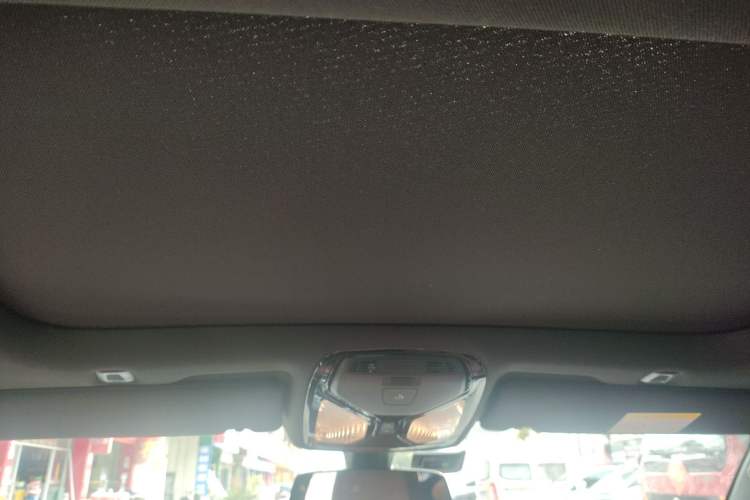 Used BMW 5 Series 2022 Restyled 530Li Luxury Edition M Sport Package Headliner